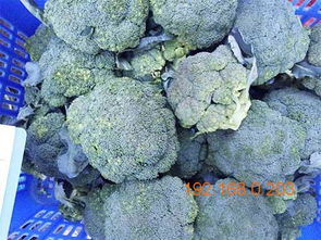 顺旺农产品配送服务 高效专业的蔬菜配送选择